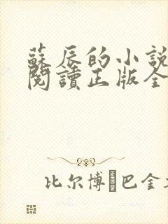 苏辰的小说免费阅读正版全文