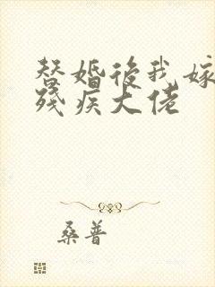 替婚后我嫁给了残疾大佬