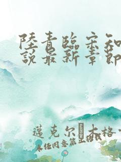 陆青临宋知薇小说最新章节更新