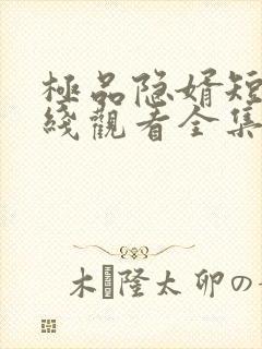 极品隐婿短剧在线观看全集免费