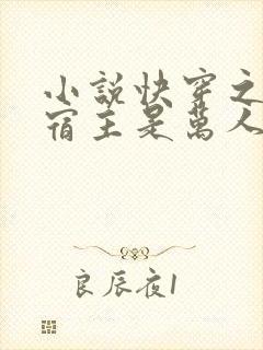 小说快穿之我家宿主是万人迷