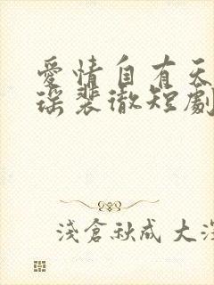 爱情自有天意宋瑶裴彻短剧第二季