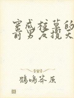 穿成校草的炮灰前男友揽天星