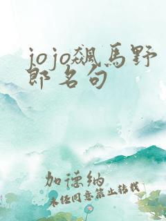 jojo飙马野郎名句