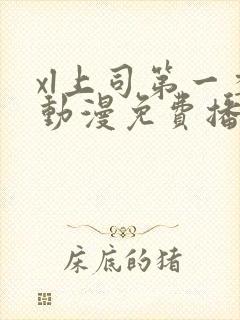 xl上司第一季动漫免费播放