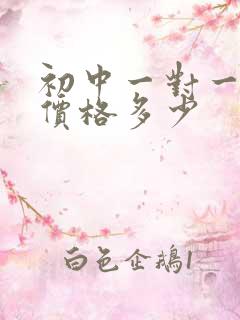 初中一对一辅导价格多少