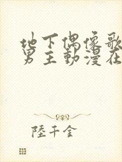 地下偶像歌手双男主动漫在线观看