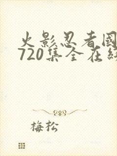 火影忍者国语版720集全在线观看