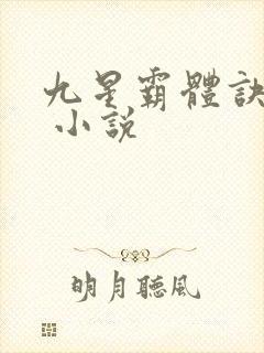 九星霸体诀龙尘 小说