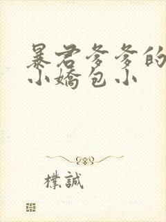 暴君爹爹的团宠小娇包小