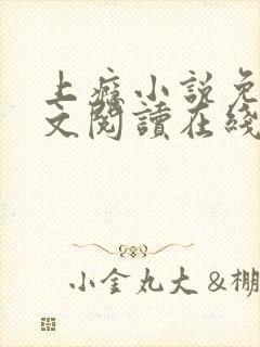 上瘾小说免费全文阅读在线