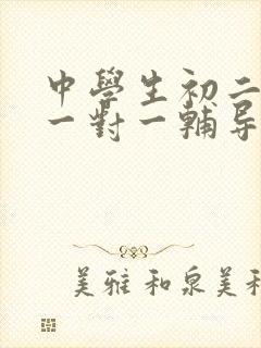 中学生初二网课一对一辅导