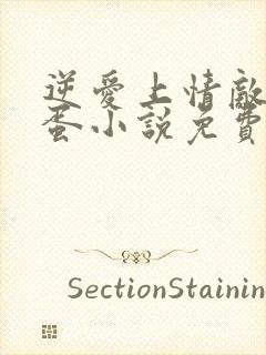 逆爱上情敌柴鸡蛋小说免费阅读