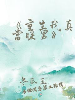 《重生我真没想当暖男》