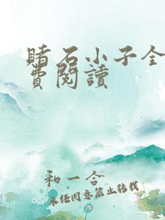 赌石小子全文免费阅读