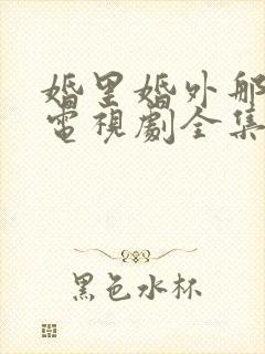 婚里婚外那些事电视剧全集