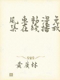 风车动漫免费全集在线播放