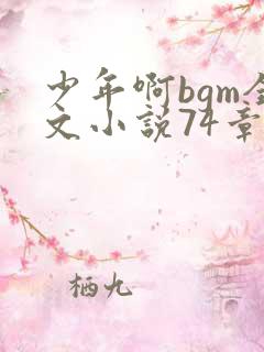少年啊bgm全文小说74章