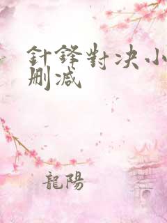 针锋对决小说未删减