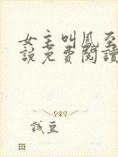 女主叫凤至的小说免费阅读