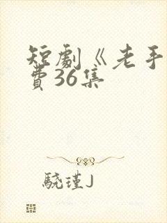 短剧《老手》免费36集