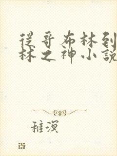 从哥布林到哥布林之神小说