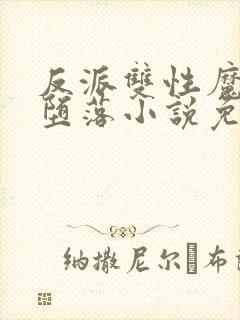 反派双性魔尊的堕落小说免费阅读