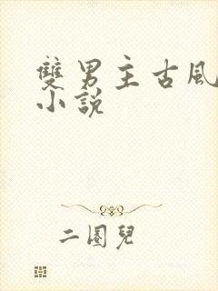 双男主古风玄幻小说