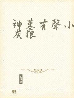 神墓有声小说大灰狼