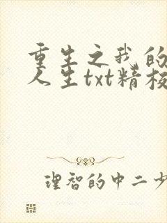 重生之我的书记人生txt精校