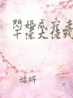 闪婚成宠老公是千亿大佬战胤海