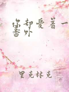 你却爱着一个他番外