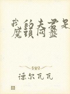 我的夫君是灭世魔头网盘