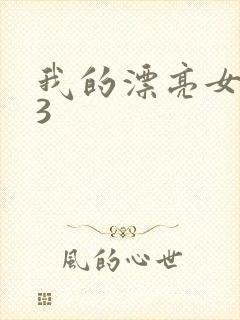 我的漂亮女房东3