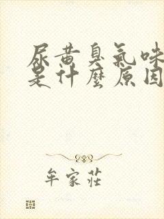 尿黄臭气味很重是什么原因