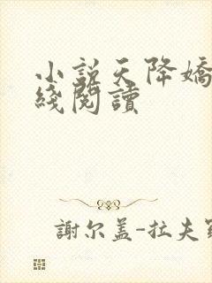 小说天降娇妻在线阅读