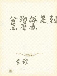 公狗总是到处尿怎么办