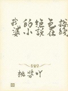 我的绝色总裁老婆小说在线阅读