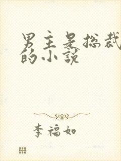 男主是总裁姓沈的小说