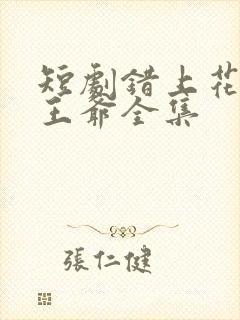 短剧错上花轿嫁王爷全集