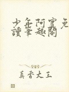 少年阿宾免费阅读笔趣阁