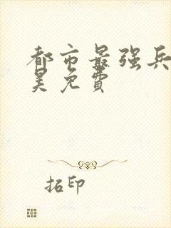 都市最强兵王叶昊免费