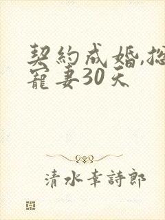 契约成婚,总裁宠妻30天