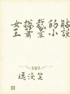 女总裁的贴身兵王萧晨小说