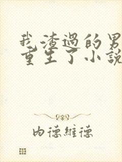 我渣过的男主都重生了小说