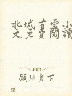 北城有雪小说全文免费阅读无弹窗
