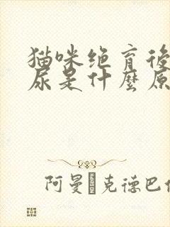 猫咪绝育后还乱尿是什么原因