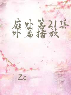 庭外第21集番外篇播放