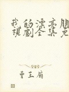 我的漂亮朋友电视剧全集免费观看