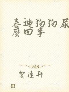 泰迪狗狗尿黄怎么回事